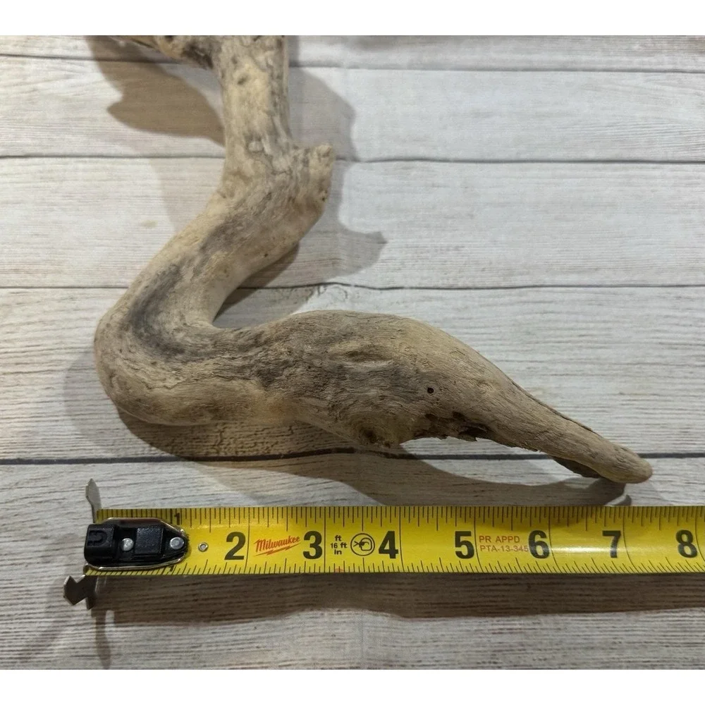 Vtg Piece of Driftwood that looks like a Dinosaur or Snake 17